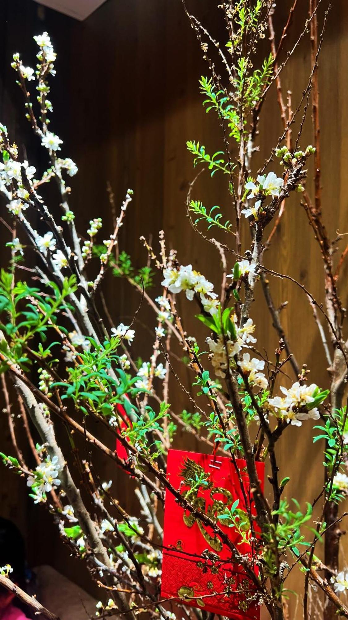 Rosa Zen Hotel Spa Ho Chi Minh-staden Exteriör bild